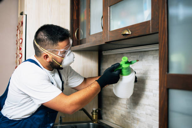 Best Pest Control Treatment  in Attla, AL