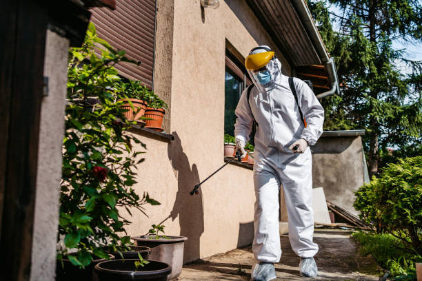 Best Insect Control  in Attla, AL