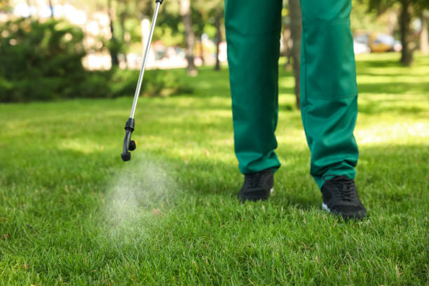 Best Pest Inspection Near Me  in Attla, AL