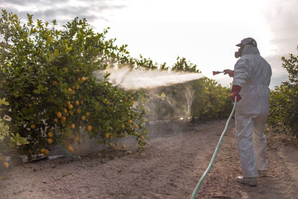 Best Exterminator Services  in Attla, AL
