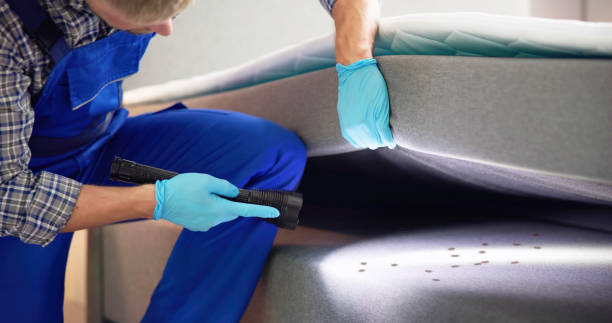 Best Wasp Removal Services  in Attla, AL