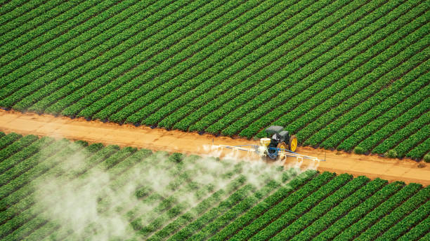 Best Pest Control Near Me  in Attla, AL