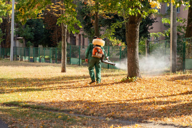 Best Affordable Pest Control Services  in Attla, AL