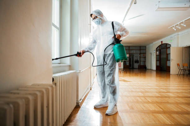 Best Pest Removal Services  in Attla, AL
